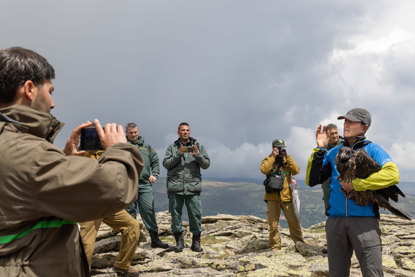 quebrantahuesos en gredos